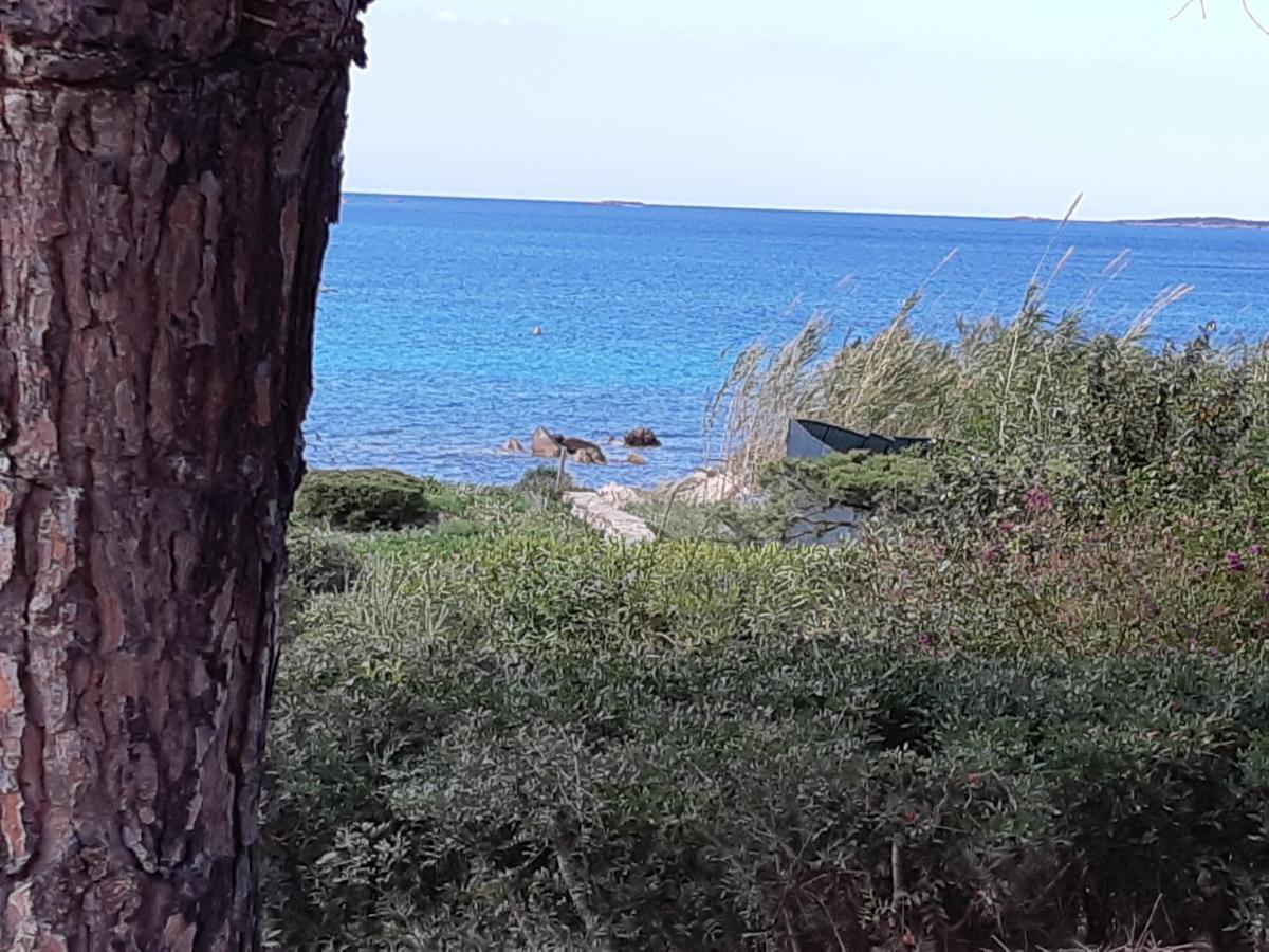 Corbezzolo Villa Porto Taverna Exterior foto