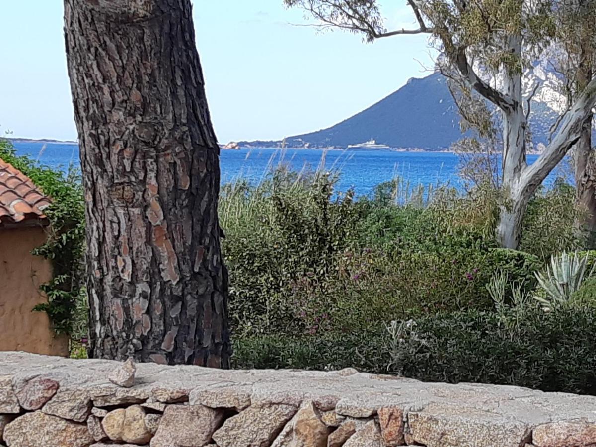 Corbezzolo Villa Porto Taverna Exterior foto